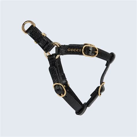 gucci style cat collar|gucci designer cat collars.